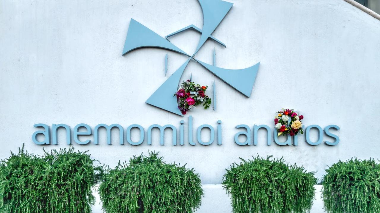 Anemomiloi Andros Andros Town Exterior foto